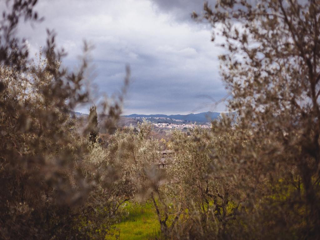 Agriturismo La Collina Toscana Pieve a Maiano Bagian luar foto
